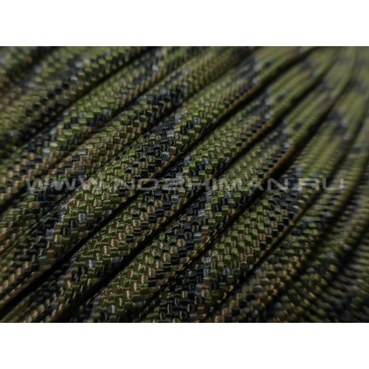 Paracord 800 AOR2