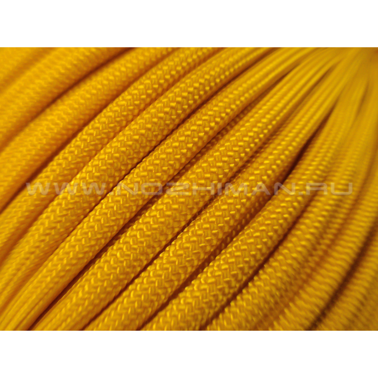 Paracord 550 Goldenrod