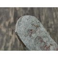 Сталь Р6М5 "Быстрорез" без ТО (220х43х3.8 мм) ковка