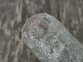 Сталь "Алмазка" ХВ5 без ТО (200х42х4.2 мм) ковка