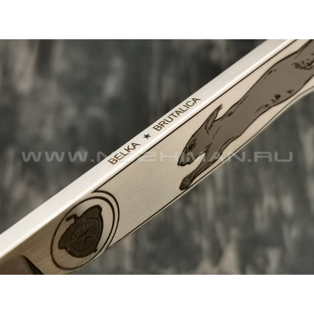 Нож Brutalica Belka fixed сталь Aus-8, рукоять сталь