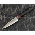Нож TUOTOWN овощной TC0304 сталь ламинат VG10, рукоять G10 Нож TUOTOWN овощной TC0304 сталь ламинат VG10, рукоять G10