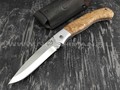 Нож складной "Якутский-СКП" сталь Х12МФ прямой спуск, кованый дол, рукоять стаб. карельская берёза (Стальные Бивни)