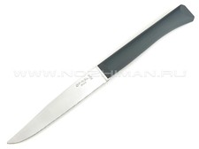 Кухонный нож Opinel №125 Grey 001903 сталь 12C27, рукоять Polymer