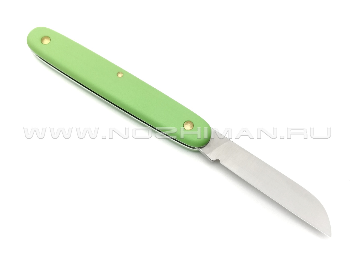Нож Victorinox 3.9050.47B1 Floral Light Green сталь X55CrMo14, рукоять Nylon