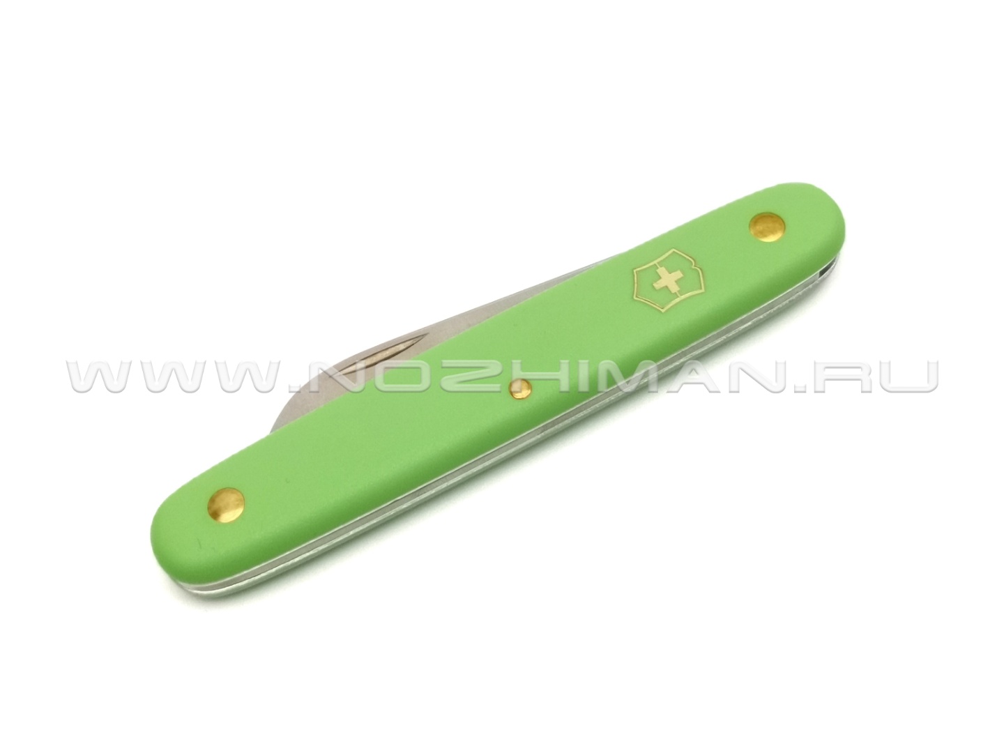 Нож Victorinox 3.9050.47B1 Floral Light Green сталь X55CrMo14, рукоять Nylon