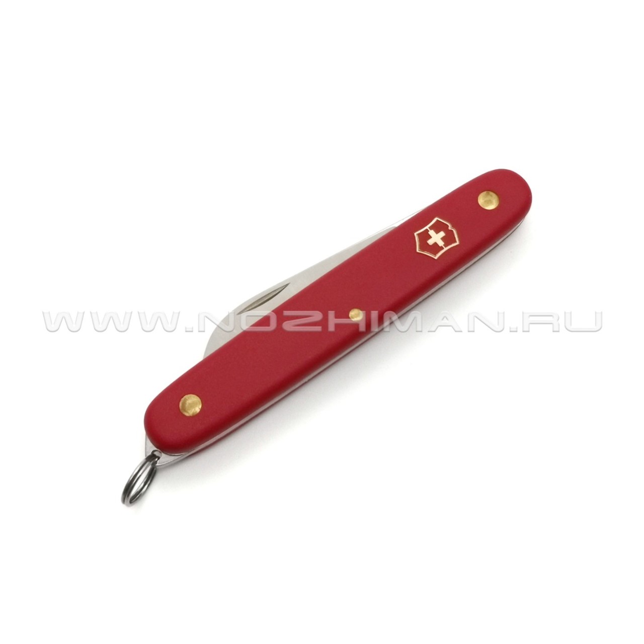 Нож Victorinox 3.9051 Floral Red сталь X55CrMo14, рукоять Nylon