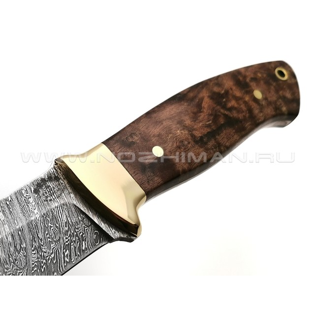 Нож "Боцман" дамасская сталь, рукоять стаб. карельская береза, латунь