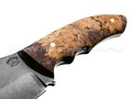 Нож "Ящер" булатная сталь, рукоять кап клёна (Товарищество Завьялова)