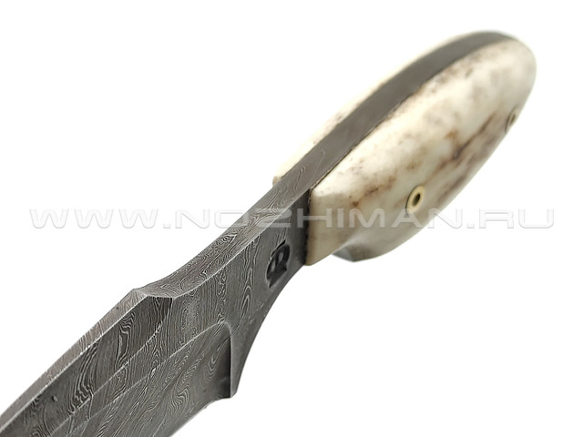 Нож "Шейный" 108Д198 дамасская сталь, рукоять рог лося (Федотов А. В.)