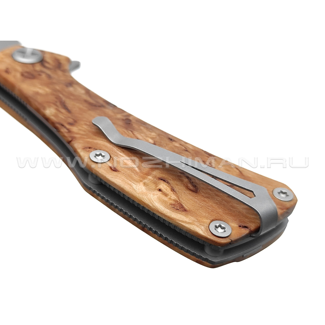 Saro нож Скорпион EVO Wharncliffe сталь K110, рукоять карельская береза