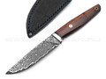 Нож "НЛВ76" ламинат S390, рукоять дерево палисандр, никель (Кузница Васильева)