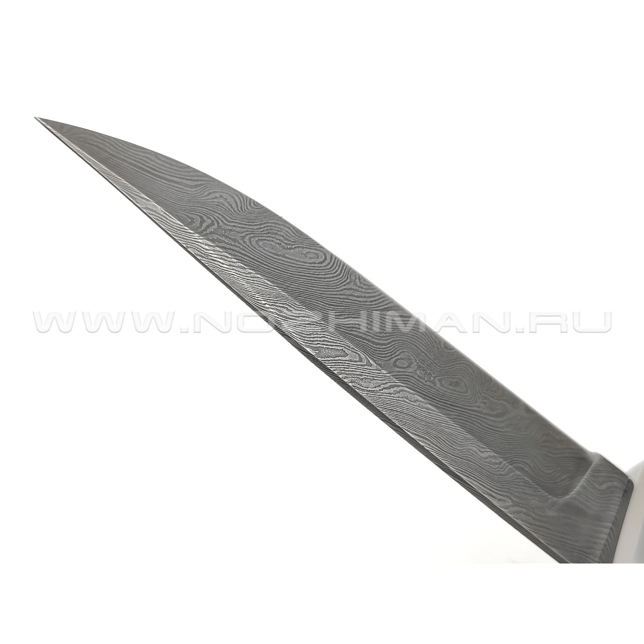 Нож "Кобра-2" дамасская сталь, рукоять наборная кожа (Титов & Солдатова)