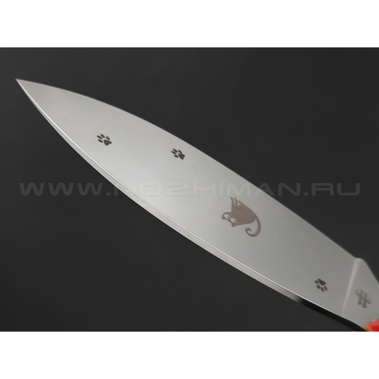 Золотое Сечение нож Загадочная Лагерта - Котики, сталь N690, рукоять Микарта