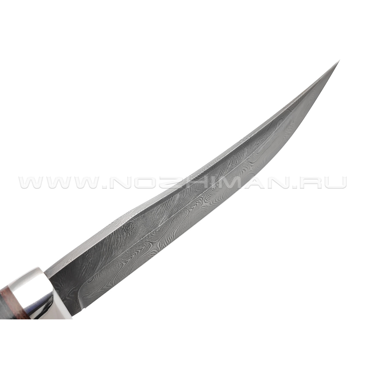 Титов и Солдатова нож Боец-1 сталь Дамаск, рукоять Наборная кожа
