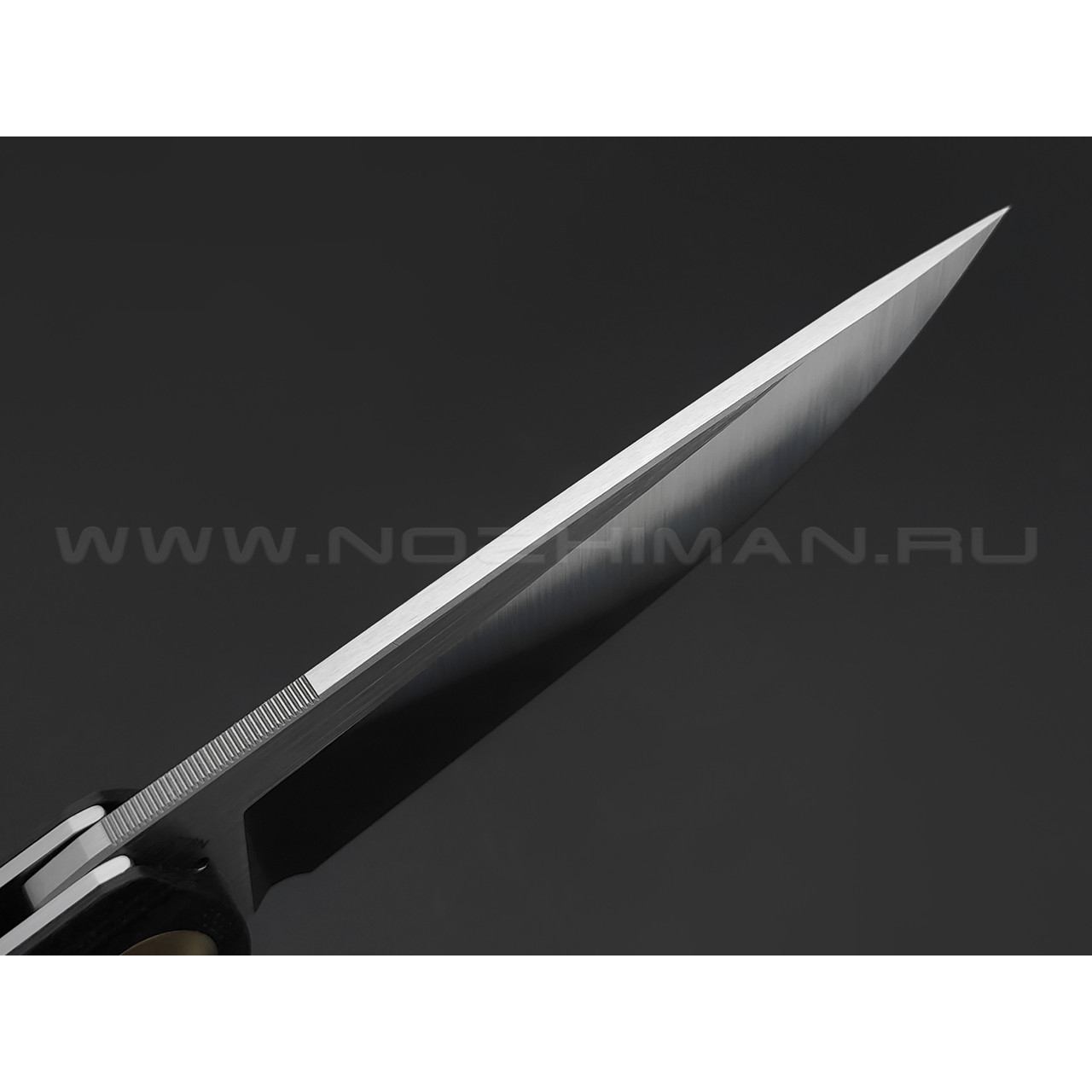 Нож Bestech Ascot BG19D сталь 14C28N satin, рукоять Carbon fiber, G10, дерево