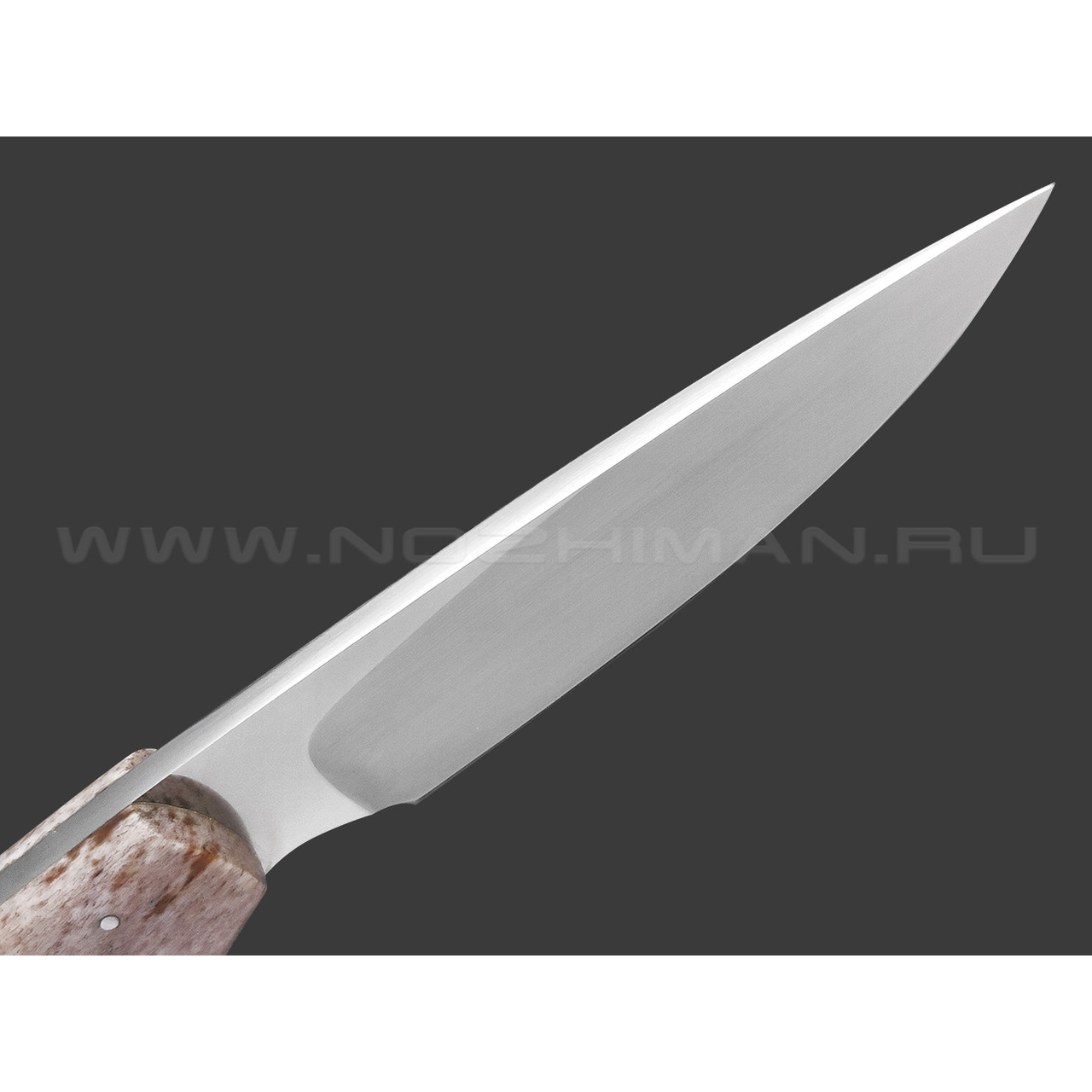 Arno Bernard нож Wild Dog сталь N690 ручной сатин, рукоять Кость жирафа