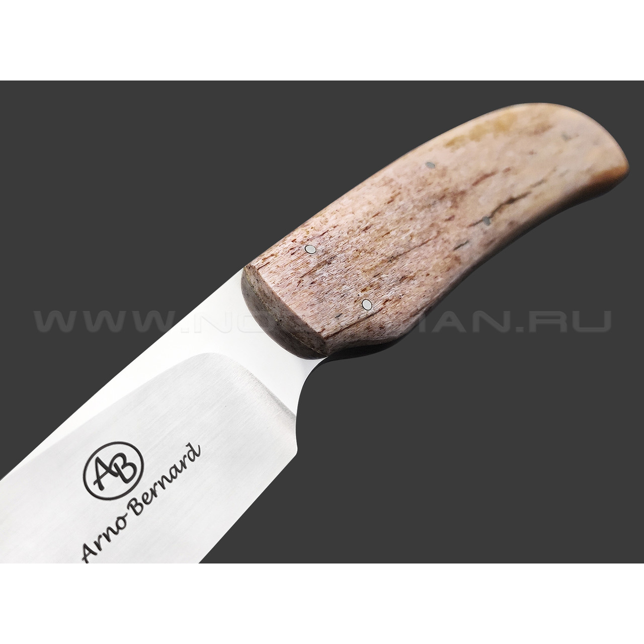 Arno Bernard нож Wild Dog сталь N690 ручной сатин, рукоять Кость жирафа