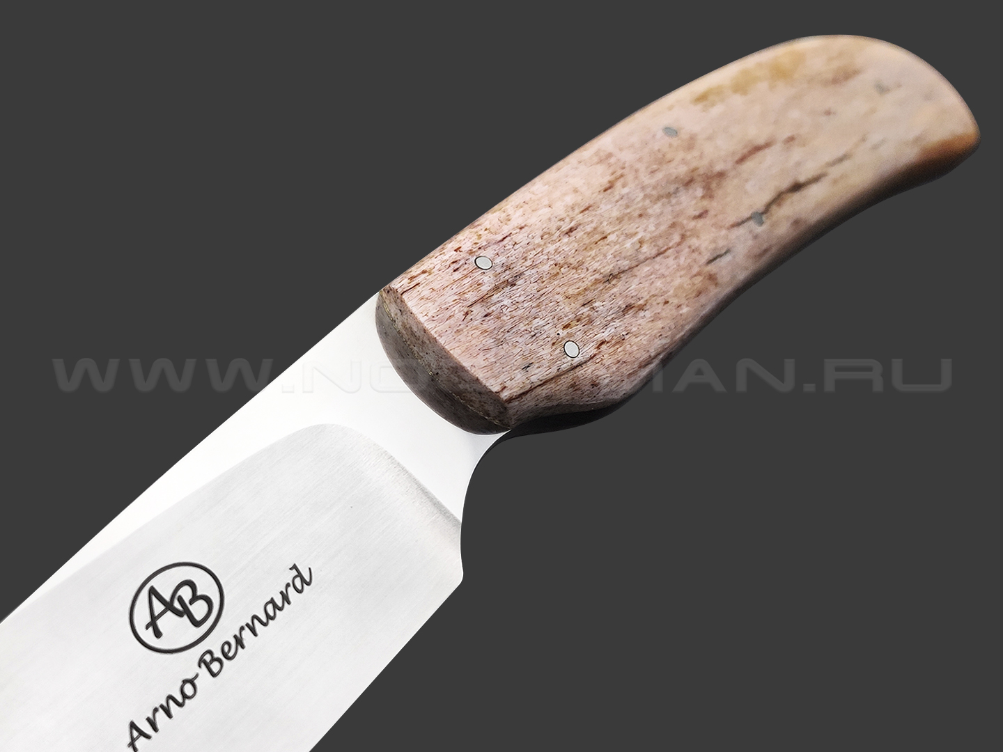Arno Bernard нож Wild Dog сталь N690 ручной сатин, рукоять Кость жирафа