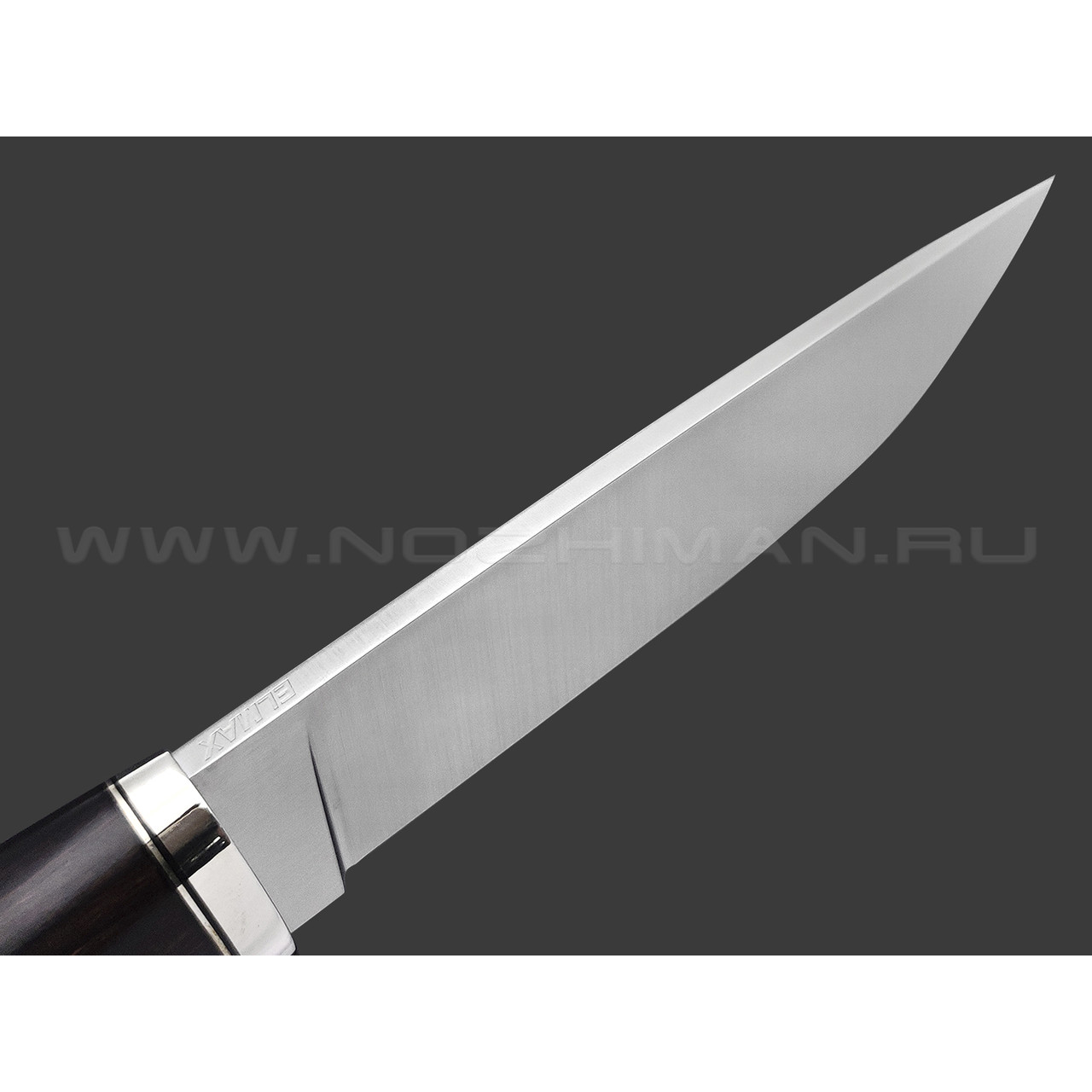 Кузница Ковчег нож Беркут-2 сталь Elmax, рукоять Айронвуд, мельхиор