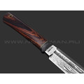 Волчий Век нож Слон Custom сталь PGK WA травление, рукоять Айронвуд, carbon fiber