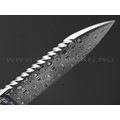 Нож QSP Canary Neck Knife QS141-I сталь Damascus, рукоять Carbon fiber Colorful