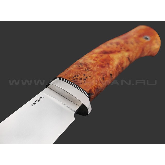 Кметь нож Клык сталь CPM S110V, рукоять Стаб. кап клена, мельхиор