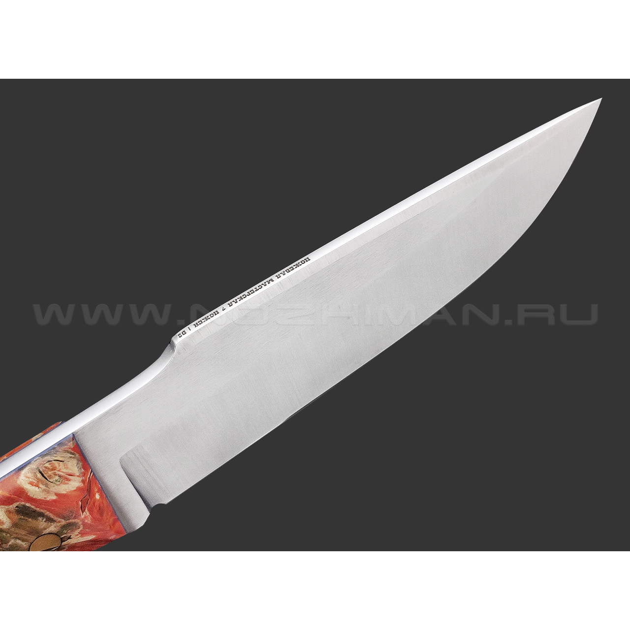 7 ножей нож Беркут сталь D2 satin, рукоять Стаб. кап клена, G10 blue
