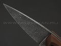 Волчий Век нож Оса Custom сталь N690 WA травление, рукоять G10 black & brown, карбон