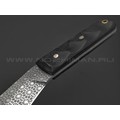 Волчий Век нож НДК 11 сталь Niolox WA худ. травление, рукоять G10 black, мозаичные пины