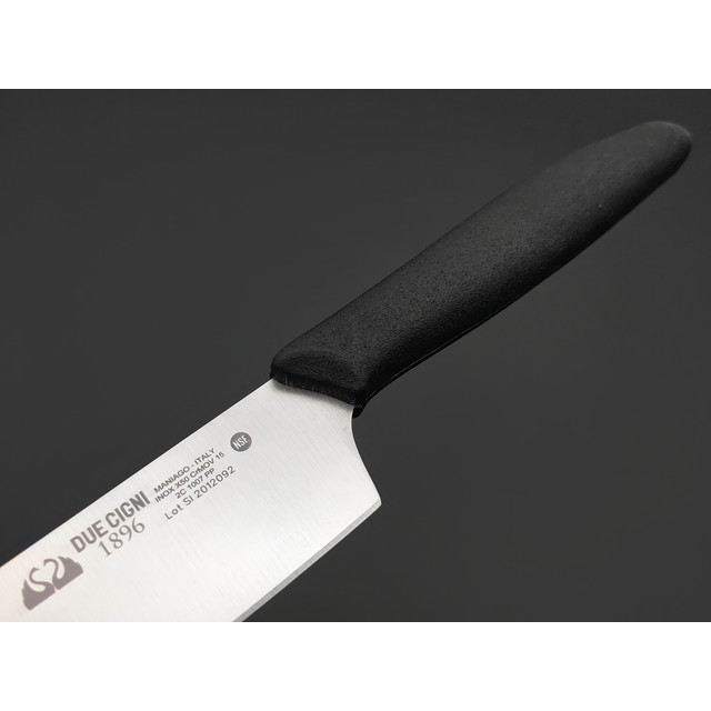 Кухонный нож Due Cigni Meat slicer 15 см 2C 1007 PP сталь X50CrMoV15, рукоять Polypropylene black