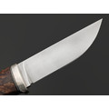 Кметь нож КМ-016 Клык Мини сталь M390, Рукоять карельская берёза, мельхиор Кметь нож КМ-016 Клык Мини сталь M390, Рукоять карельская берёза, мельхиор