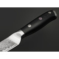 TuoTown D.JS Paring 613512 сталь Damascus VG-10, рукоять Carbon fiber