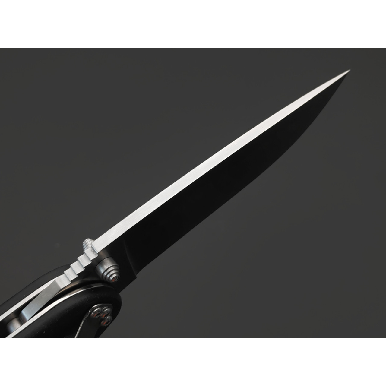Steelclaw складной нож Крыса сталь Aus-8 satin, рукоять G10 black