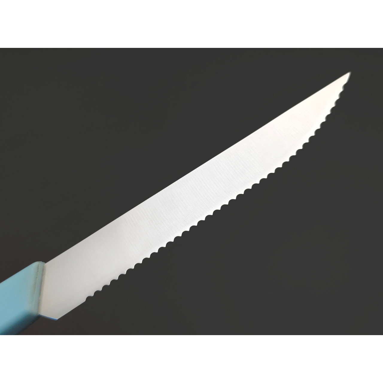 Okroshka нож для стейка Salad OK225P-BL-STS сталь 5Cr15MoV, рукоять Полимер голубой