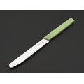 Okroshka нож столовый Salad OK225P-GN-CTS сталь 5Cr15MoV, рукоять Полимер зелёный