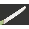 Okroshka нож столовый Salad OK225P-GN-CTS сталь 5Cr15MoV, рукоять Полимер зелёный