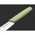 Okroshka нож для стейка Salad OK225P-GN-ST сталь 5Cr15MoV, рукоять Полимер зелёный